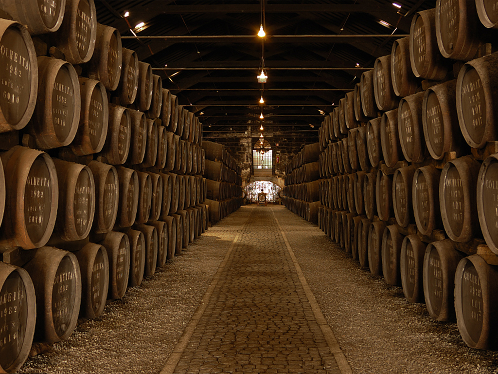 Wine Cellar