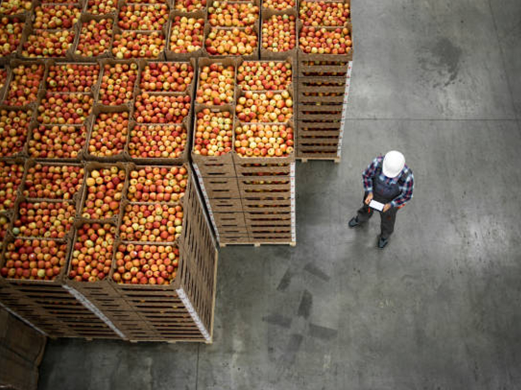 Warehouse Storage