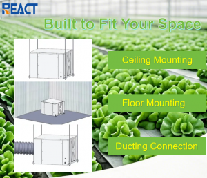 225Pints Industrial Greenhouse Dehumidifier DH-255B