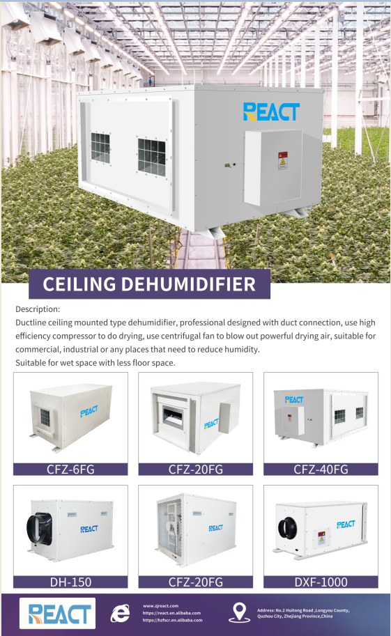 6 Ceiling Dehumidifier