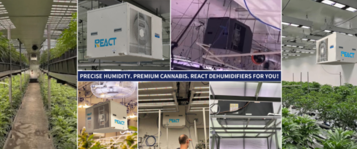 Greenhouse Dehumidifiers: The “Humidity Manager” Guarding Your Green Assets