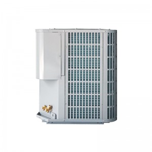 REACT DAC-60 17.5KW Special Air Conditioner for Greenhouse Cultivation ﻿